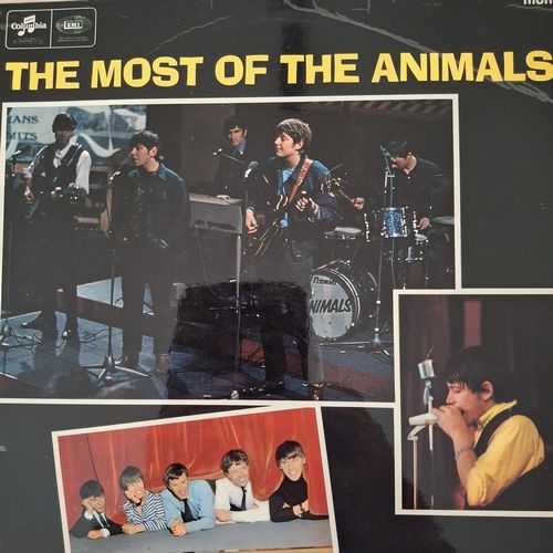 the most of the animals