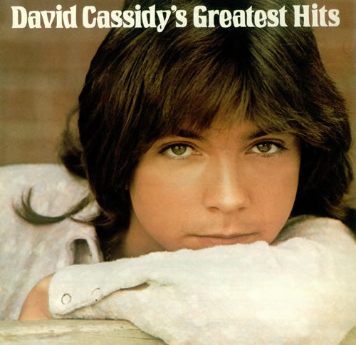 david cassidy's greatest hits (lp)