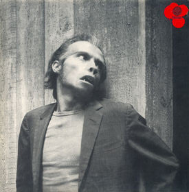 the parkfrilla (2lp)