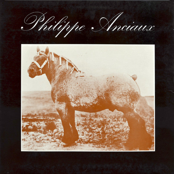 i.m.p.p. (near mint)