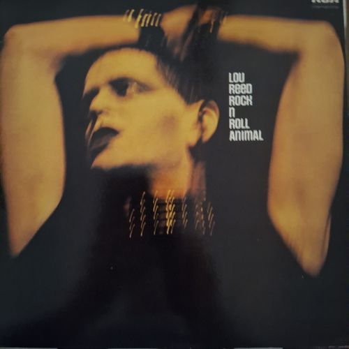 rock n roll animal
