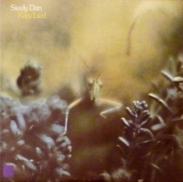 katy lied