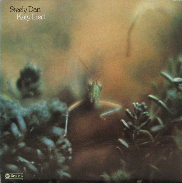 katy lied (lp)