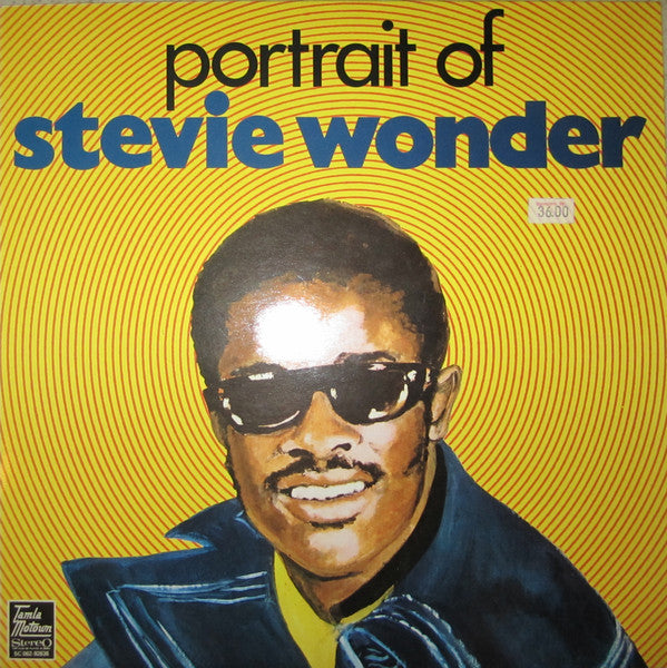 portrait of stevie wonder