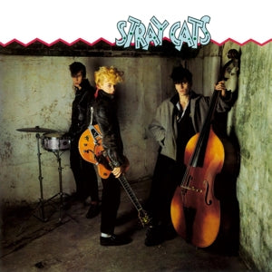 stray cats