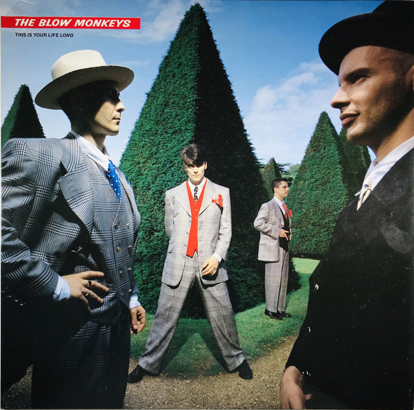 this is your life long (12inch)